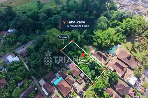 Photo of 9 Are Jungle View Land For Lease In Kaba-Kaba in Kedungu
