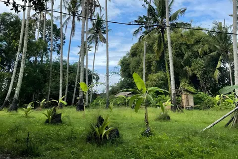 Photo of 1,910 Sqm Leasehold Land In Batu Tampih - Near Beach in Kedungu