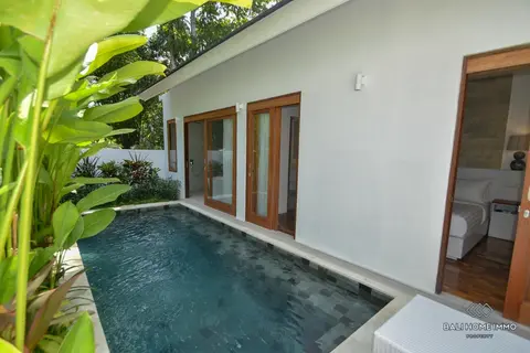 Photo of 1 Bedroom Villa for Rent in Pererenan Bali in Pererenan
