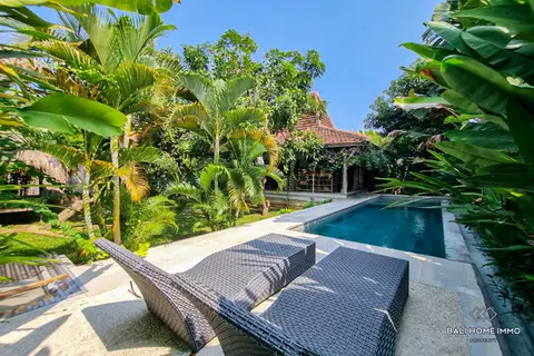Photo of 3 Bedroom Villa for Yearly Rental in Bali Canggu Berawa in Canggu
