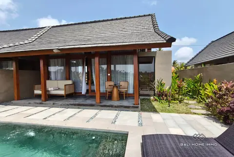Photo of Modern 1 bedroom villa with Ricefield view for rent in Mambal in Ubud